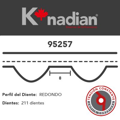 Kit Distribución Knadian Tb257K2 - Mi Refacción